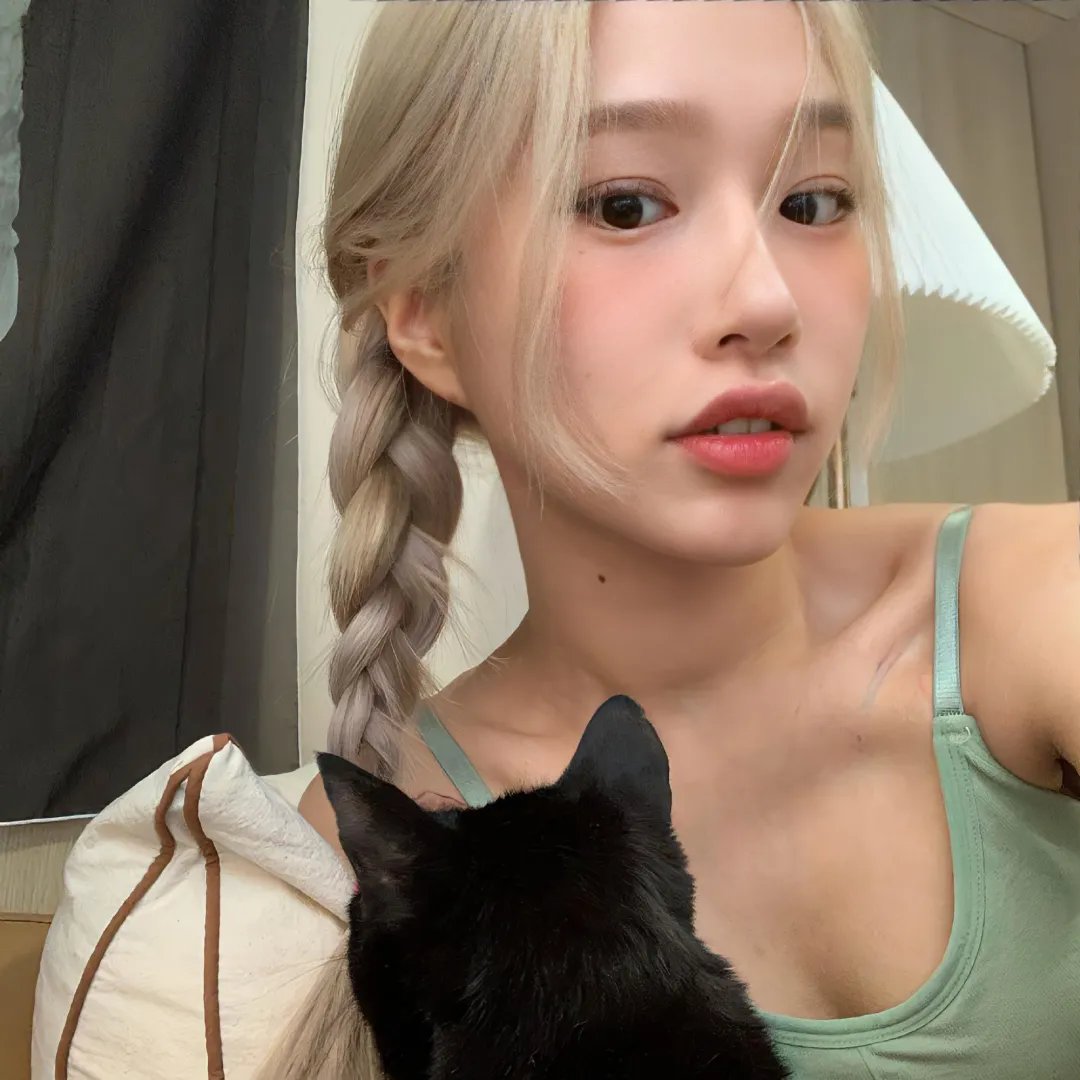 战地莺花